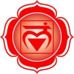 root chakra, earth chakra, stability, grounded, chakra balance, chakra alignment, rainbow light body, chakra system, life force