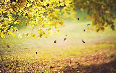 Fall – What to Keep and What to Release
